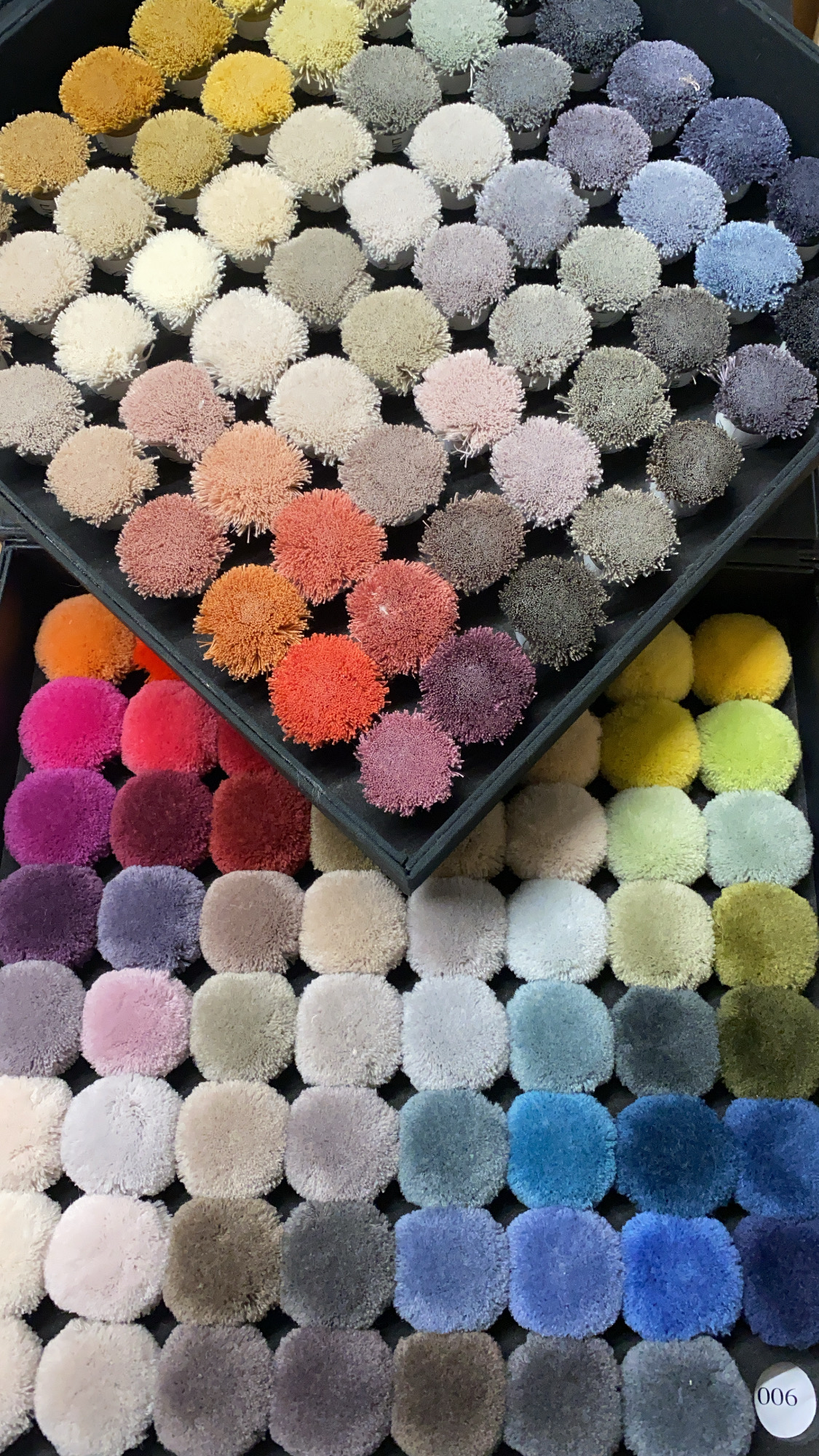 20210305_082547526_iOS